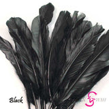 Sin Wah Online - Decorative Bird's Feather