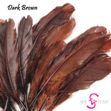 Sin Wah Online - Decorative Bird's Feather