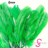 Sin Wah Online - Decorative Bird's Feather