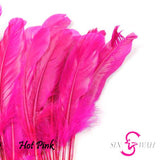 Sin Wah Online - Decorative Bird's Feather