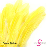 Sin Wah Online - Decorative Bird's Feather