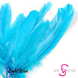 Sin Wah Online - Decorative Bird's Feather