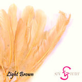 Sin Wah Online - Decorative Bird's Feather