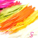 Sin Wah Online - Decorative Bird's Feather