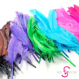 Sin Wah Online - Decorative Bird's Feather