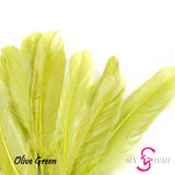 Sin Wah Online - Decorative Bird's Feather