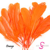 Sin Wah Online - Decorative Bird's Feather