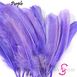 Sin Wah Online - Decorative Bird's Feather