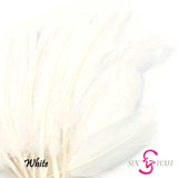 Sin Wah Online - Decorative Bird's Feather