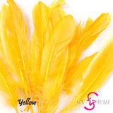 Sin Wah Online - Decorative Bird's Feather