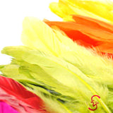 Sin Wah Online - Decorative Bird's Feather 